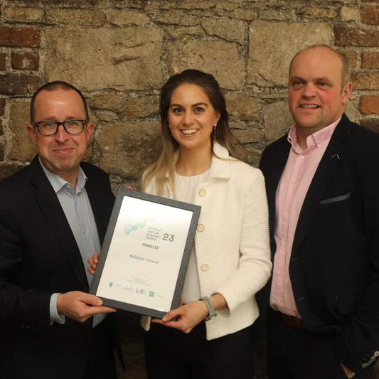 County Carlow Digital Awards 2023 - Ballybar