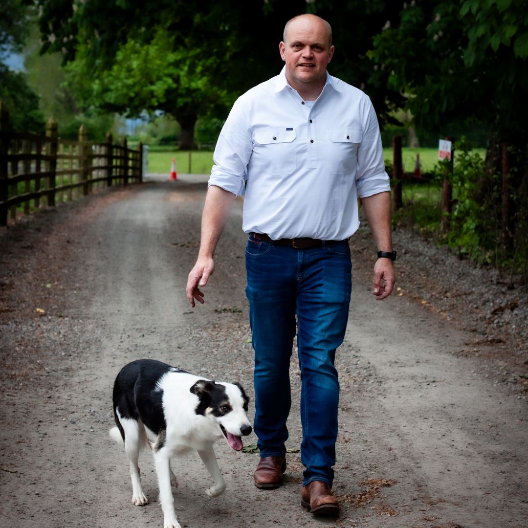 Men's Country Cotton Work Shirt -Contrast - Ballybar