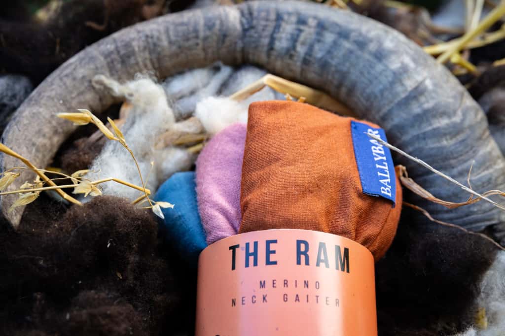 The Ram Neck Gaiter - 100% Merino Wool - Ballybar