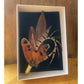 Feather Pins & Brooches Small Fedora Ballybar Curl 